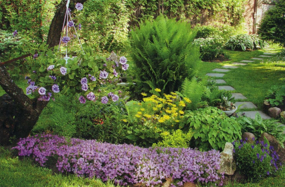 Растения для цветника в Прибрежном стиле