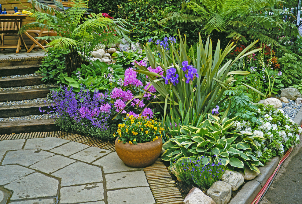 Композиции клумб