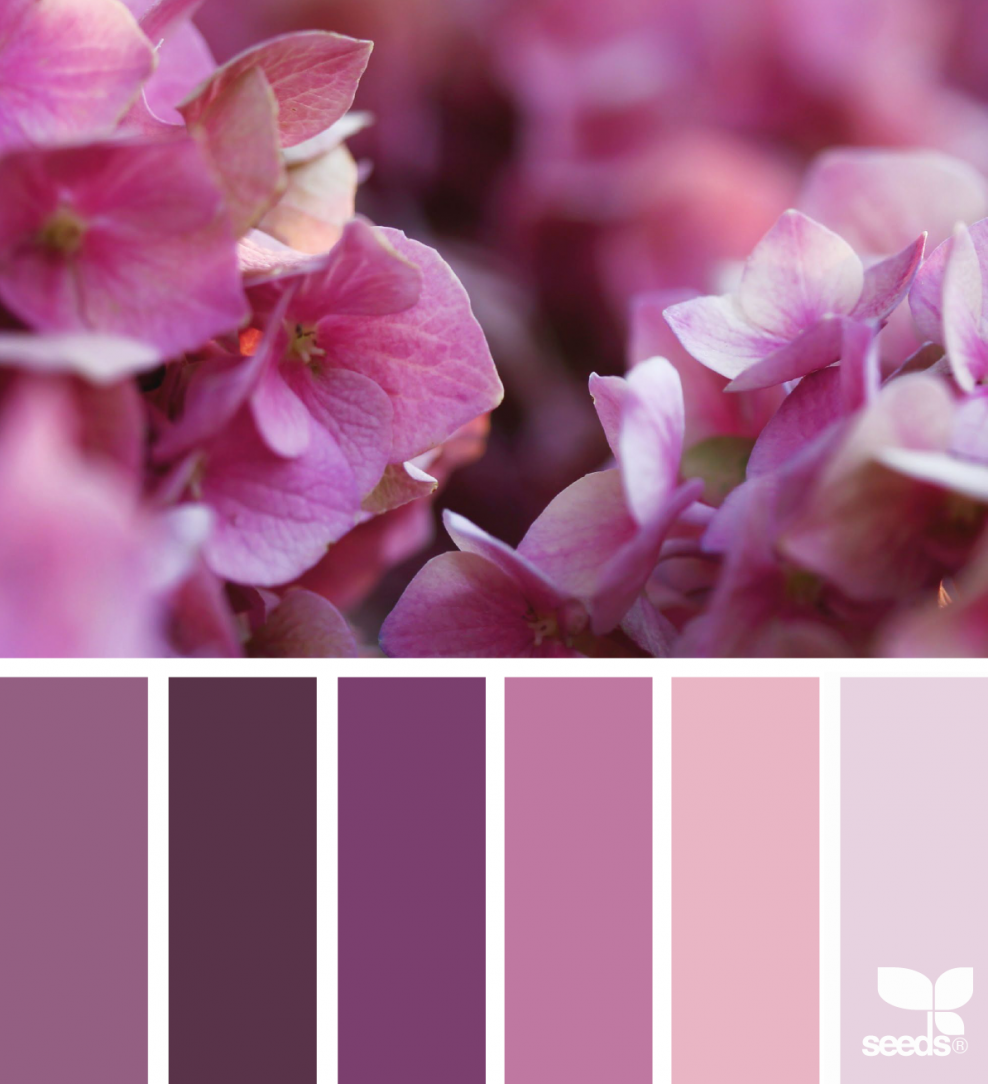 Палитра сиреневых оттенков