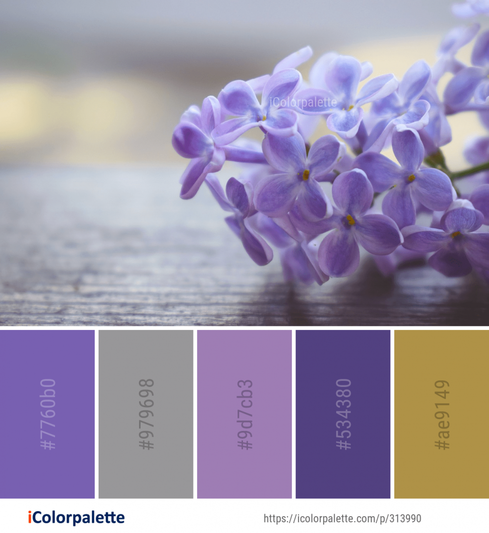 Цвета сирени оттенки