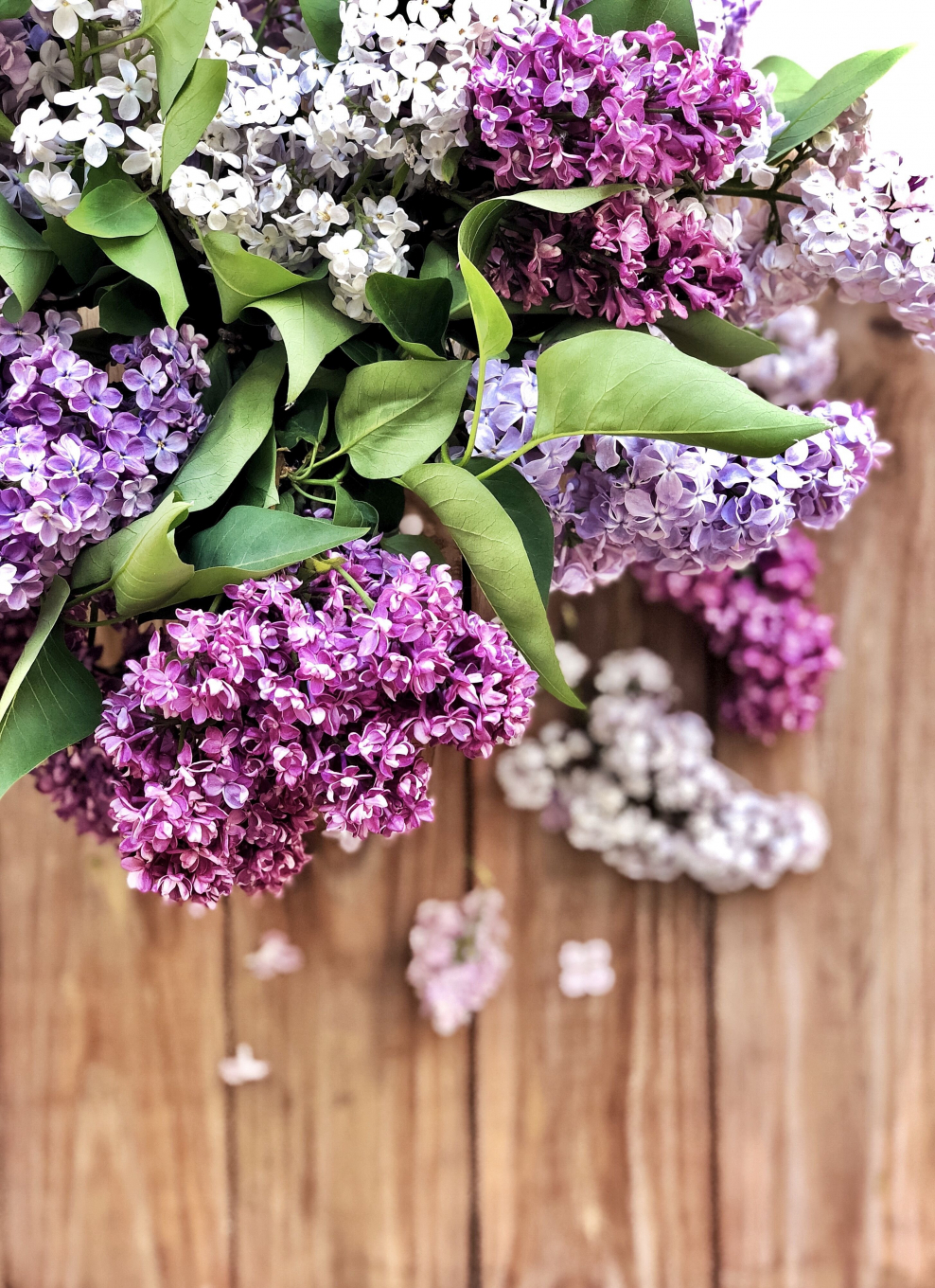 Сиренево розовая палитра