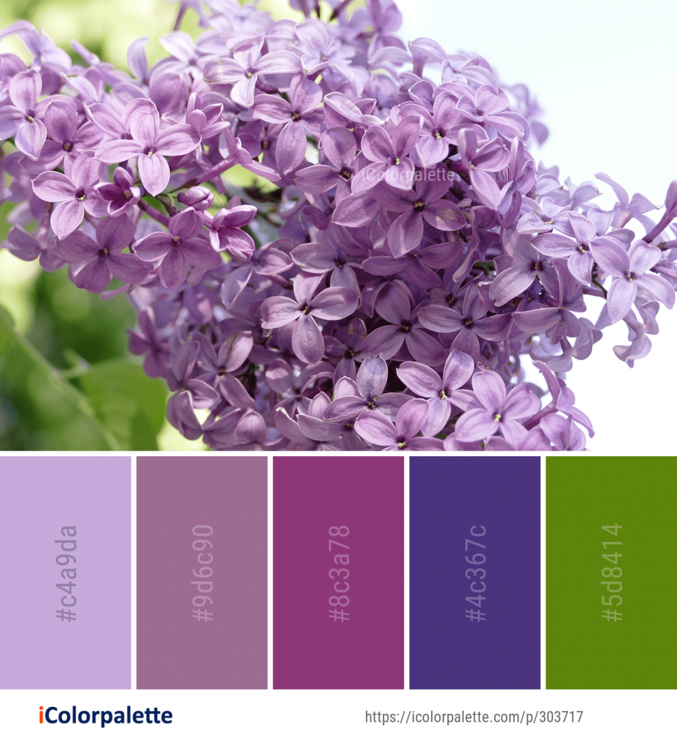 Палитра лиловых оттенков