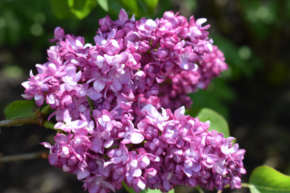 Пастельные оттенки палитра