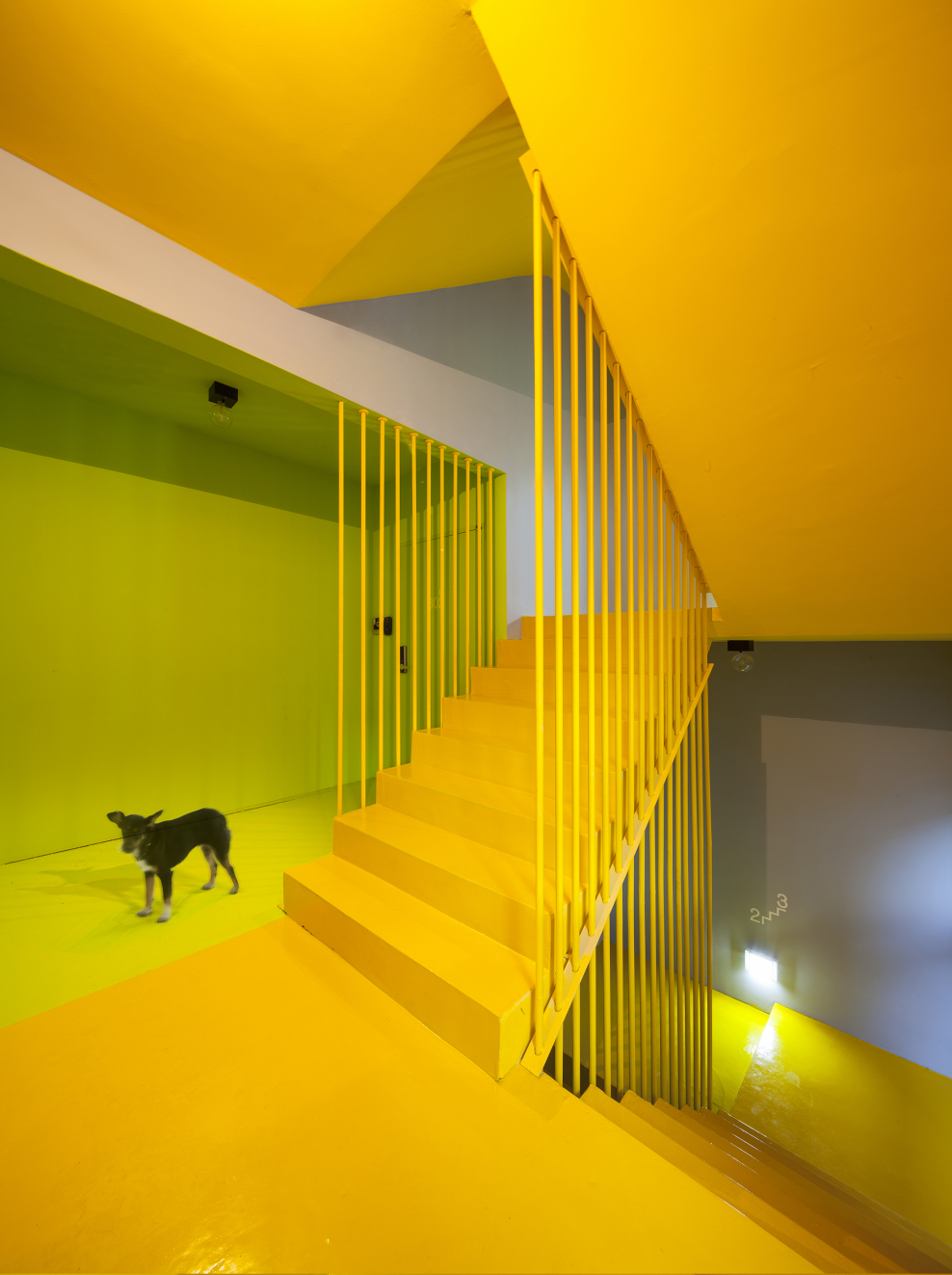 Желтая лестница фотосток