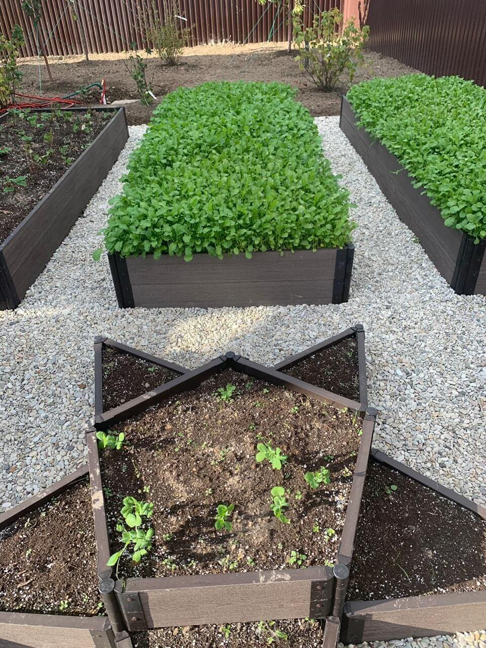 Грядки Gardeck