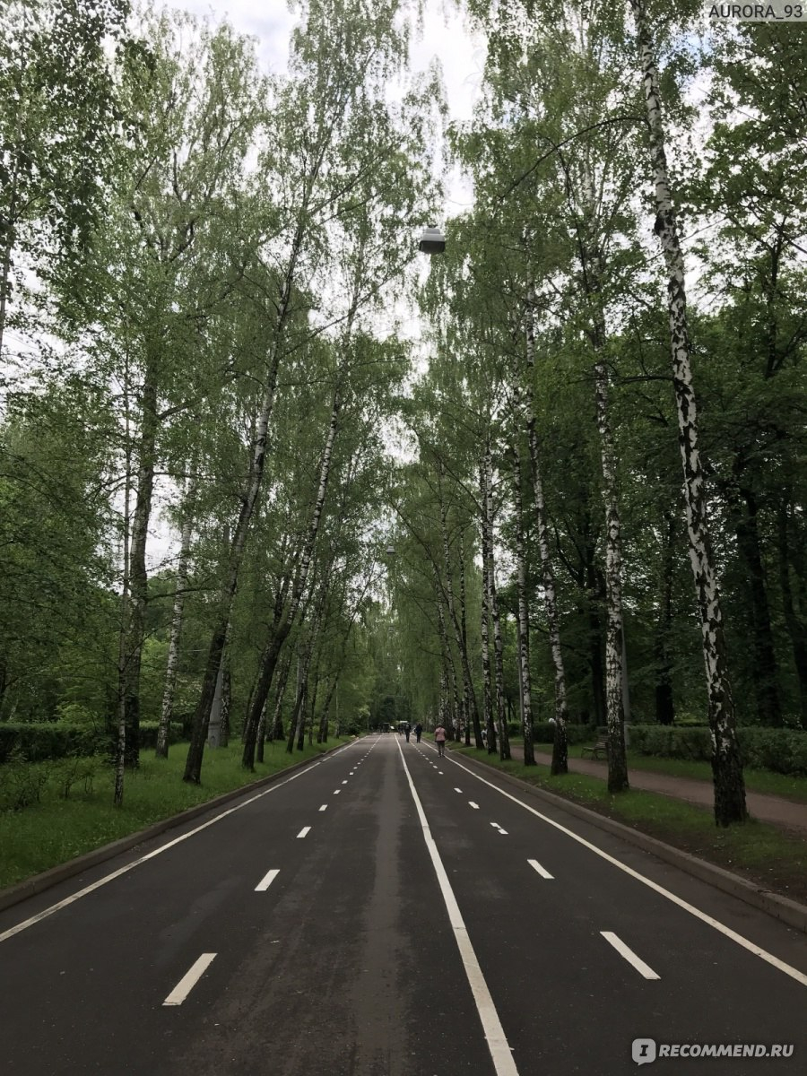 Сокольники зима