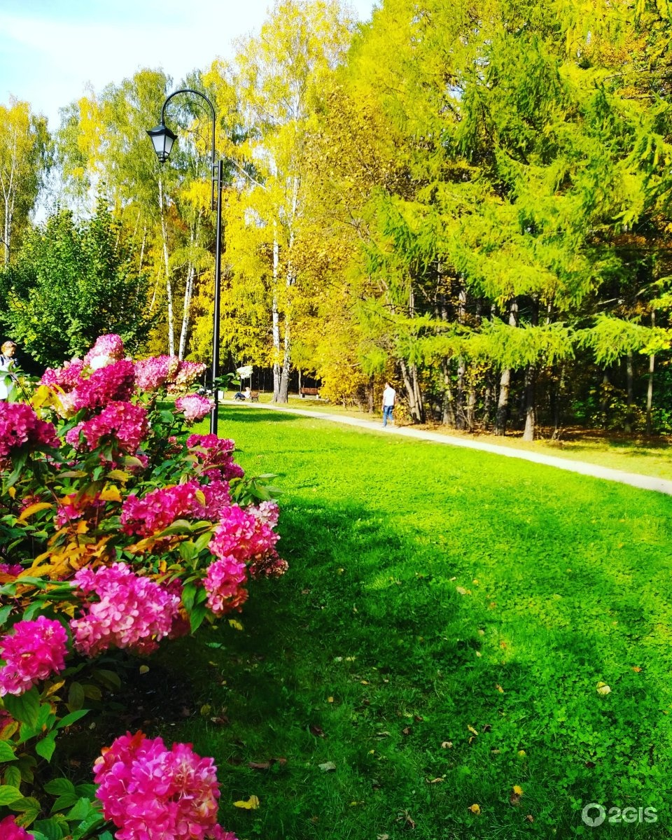 Сокольники парк день города 2021