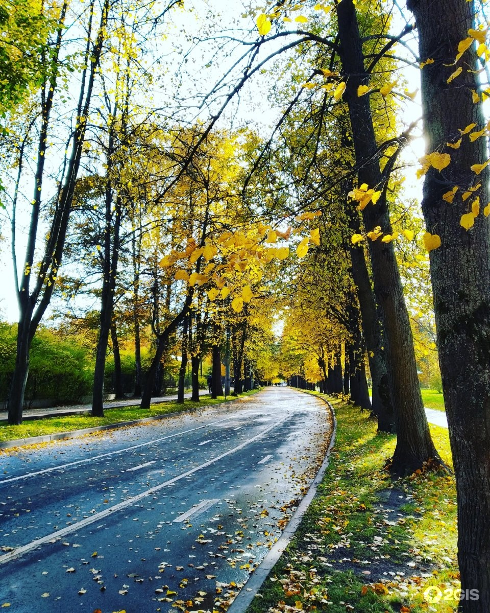 Павильон велопроката