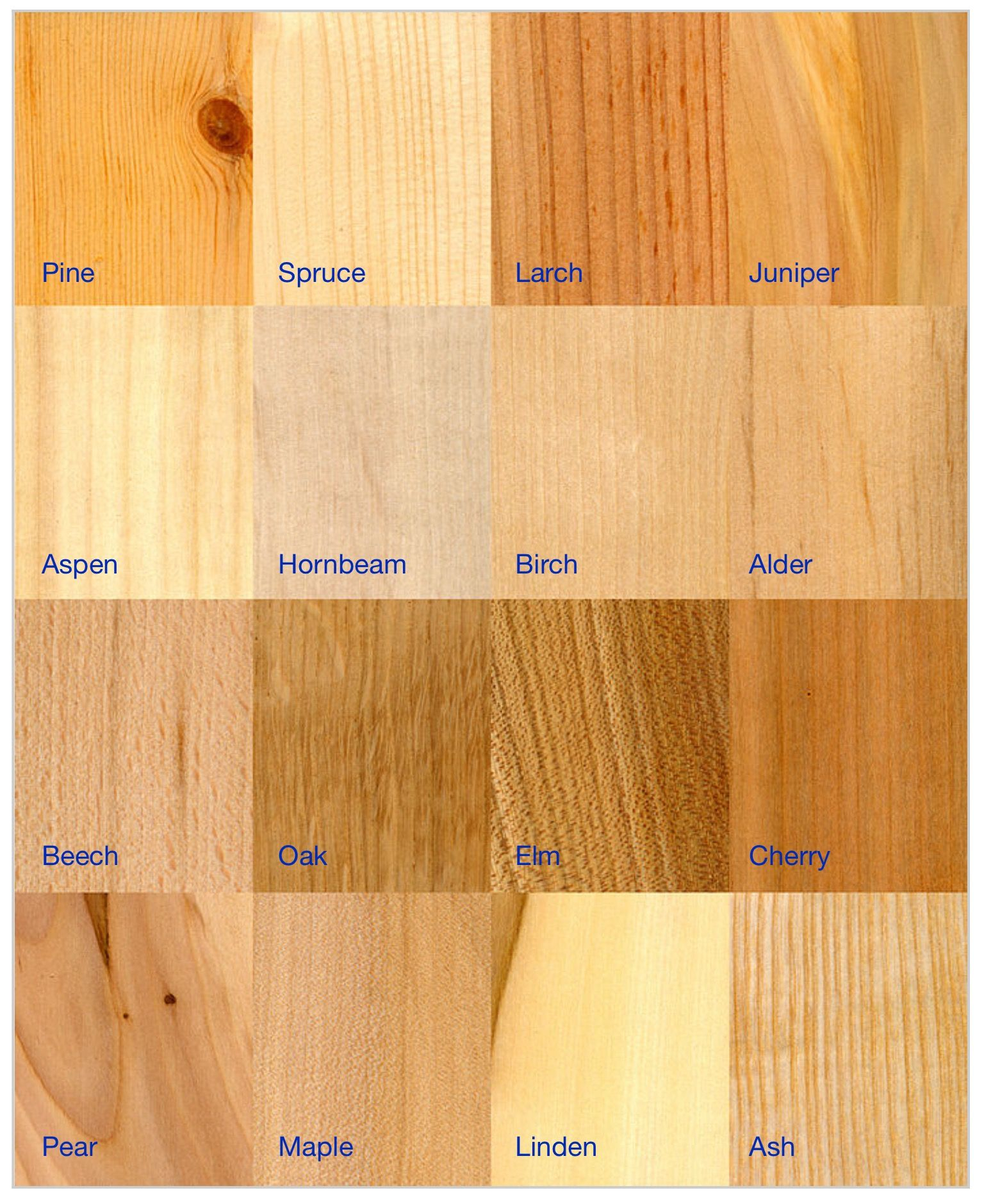 Натуральный цвет древесины зависит от породы