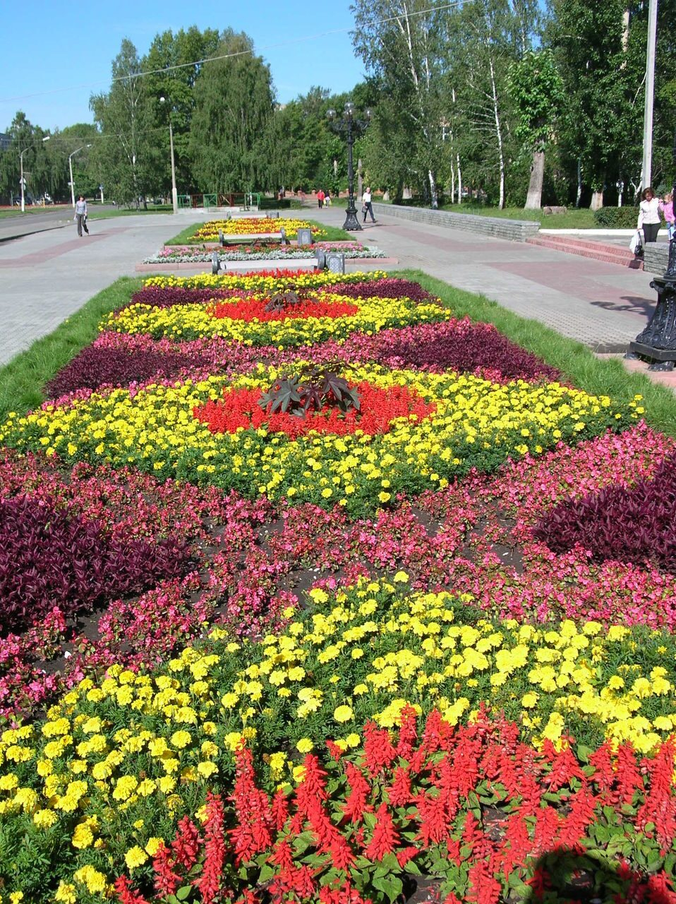 Городские цветники фото