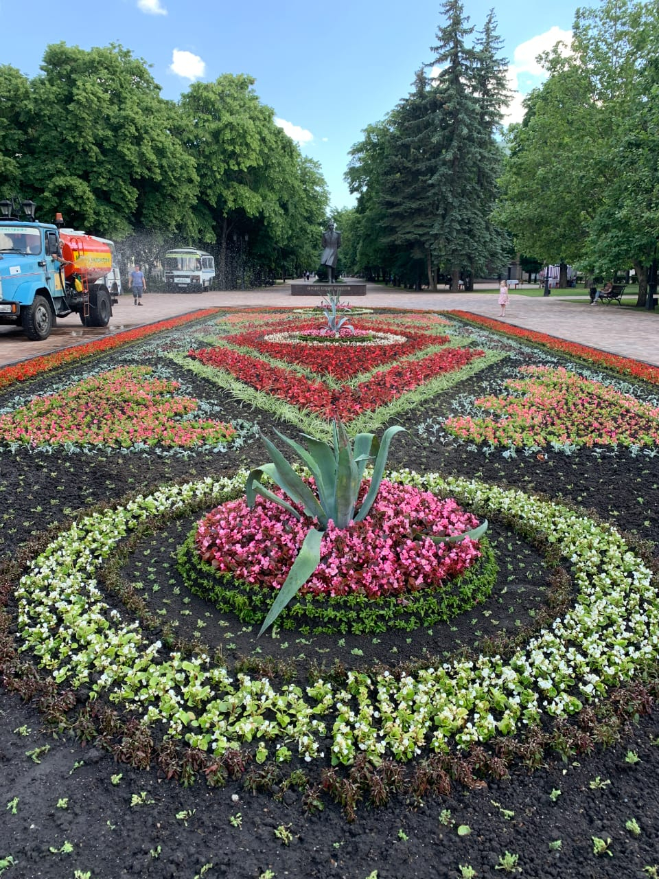 Городские цветники фото