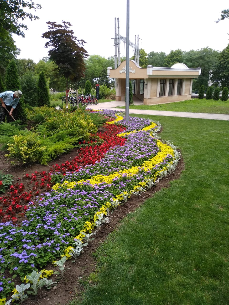 Клумбы в городе