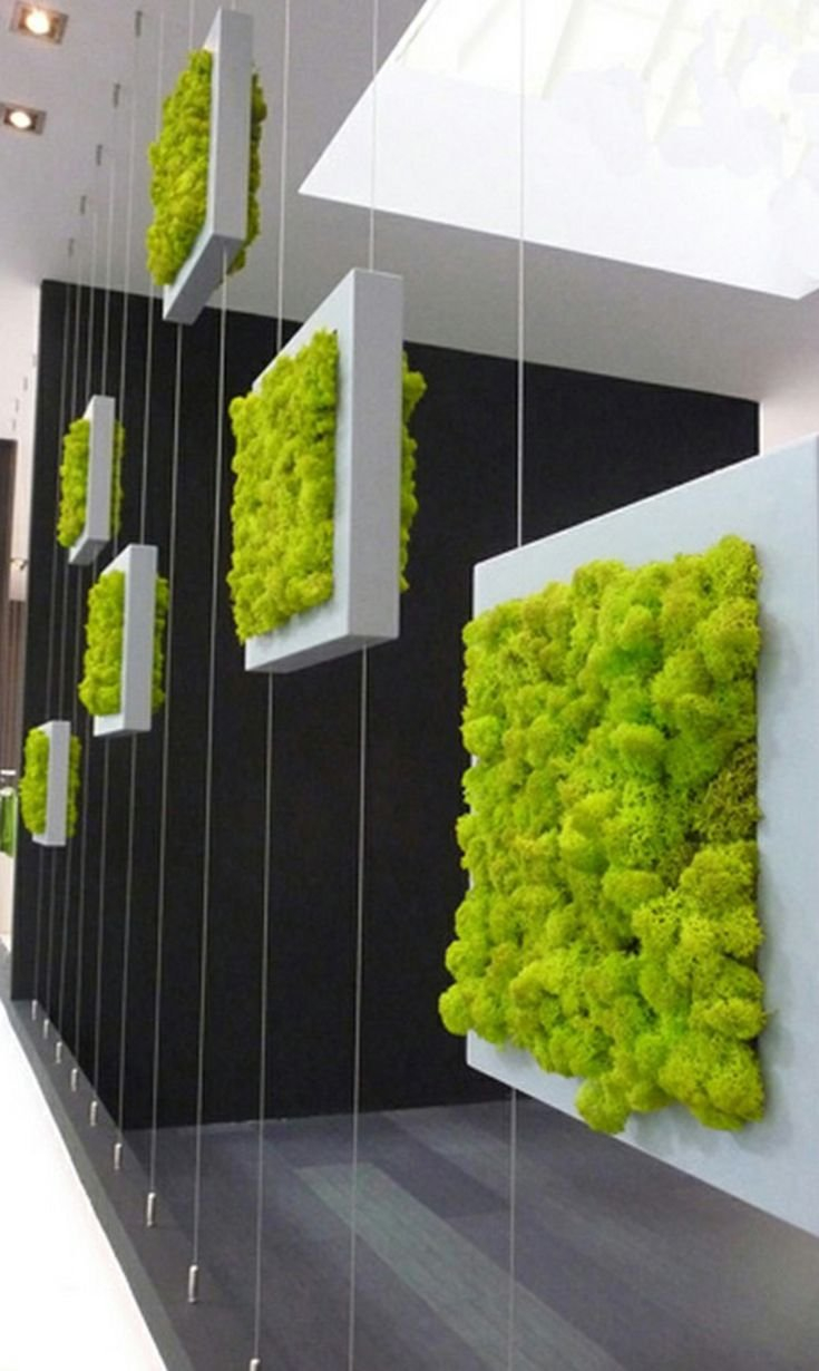 Фитостена мох стабилизированный