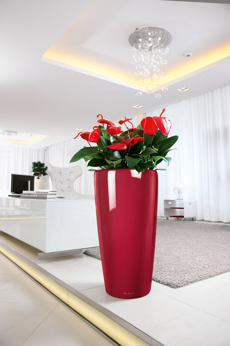 Кашпо Lechuza Rondo 40