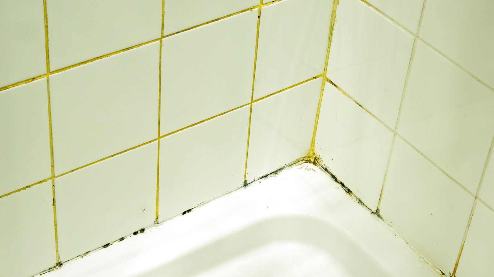 Отбелить швы плитки в ванной. Белая плитка с зеленой затиркой. Затирка для белой плитки в ванной. Белая плитка с золотой затиркой. Затирка швов на белой плитке в ванной.