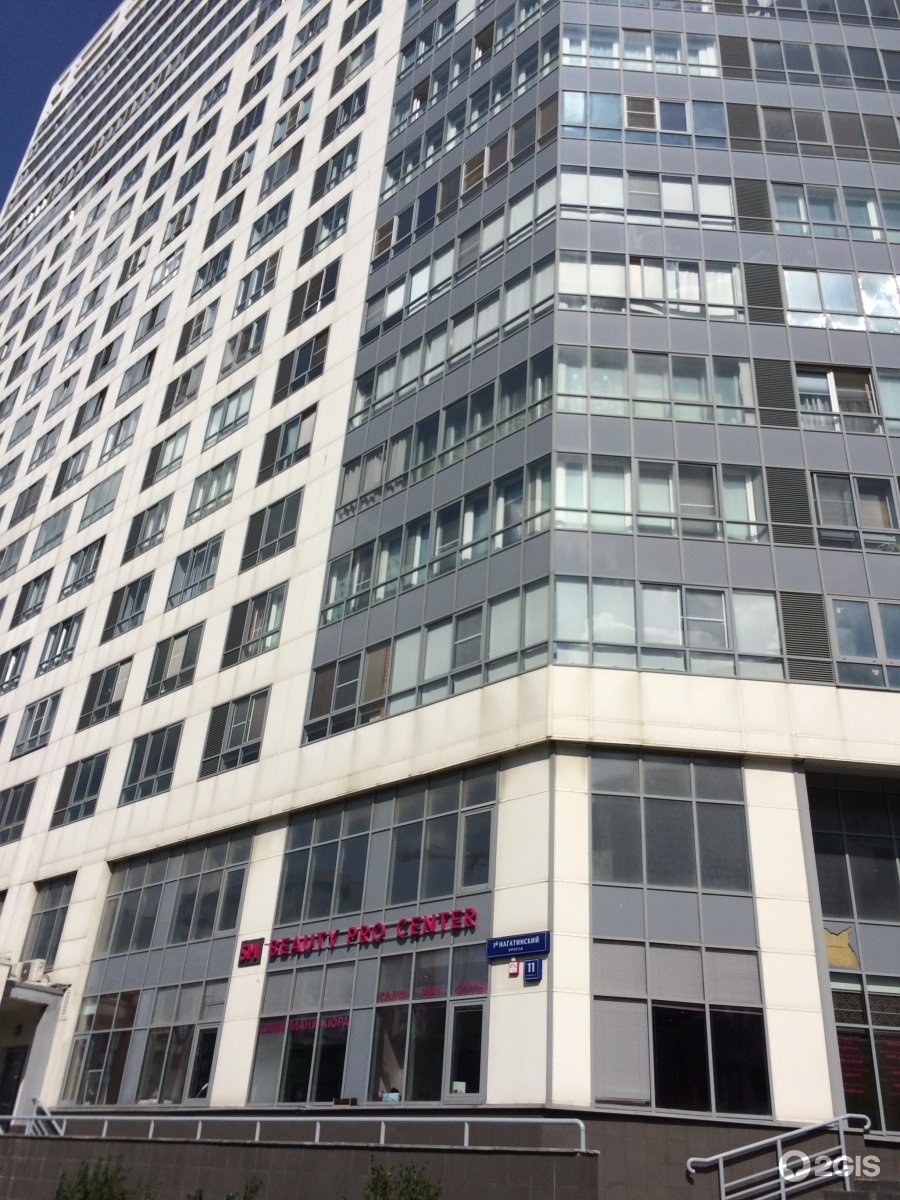 Скай Форт мопы