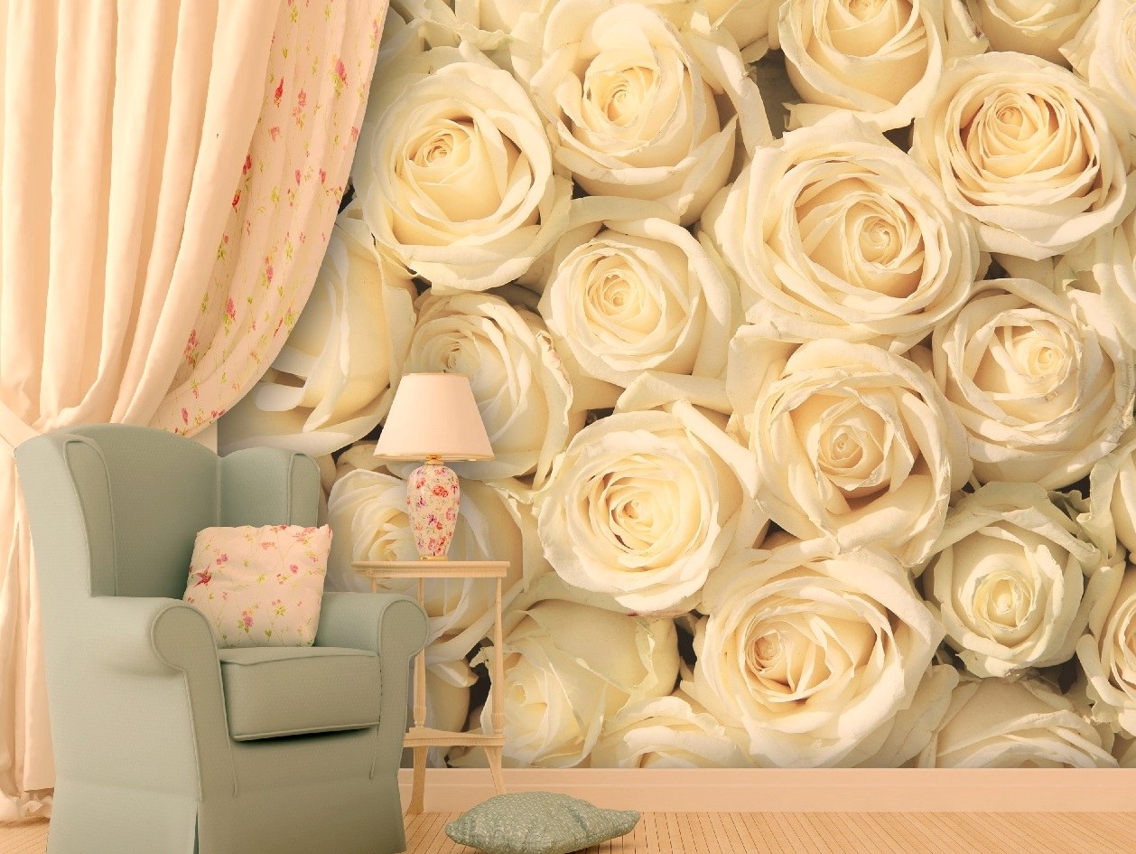 3д обои цветы. Фотообои розы. Бежевые розы. Фотообои стена и цветы.