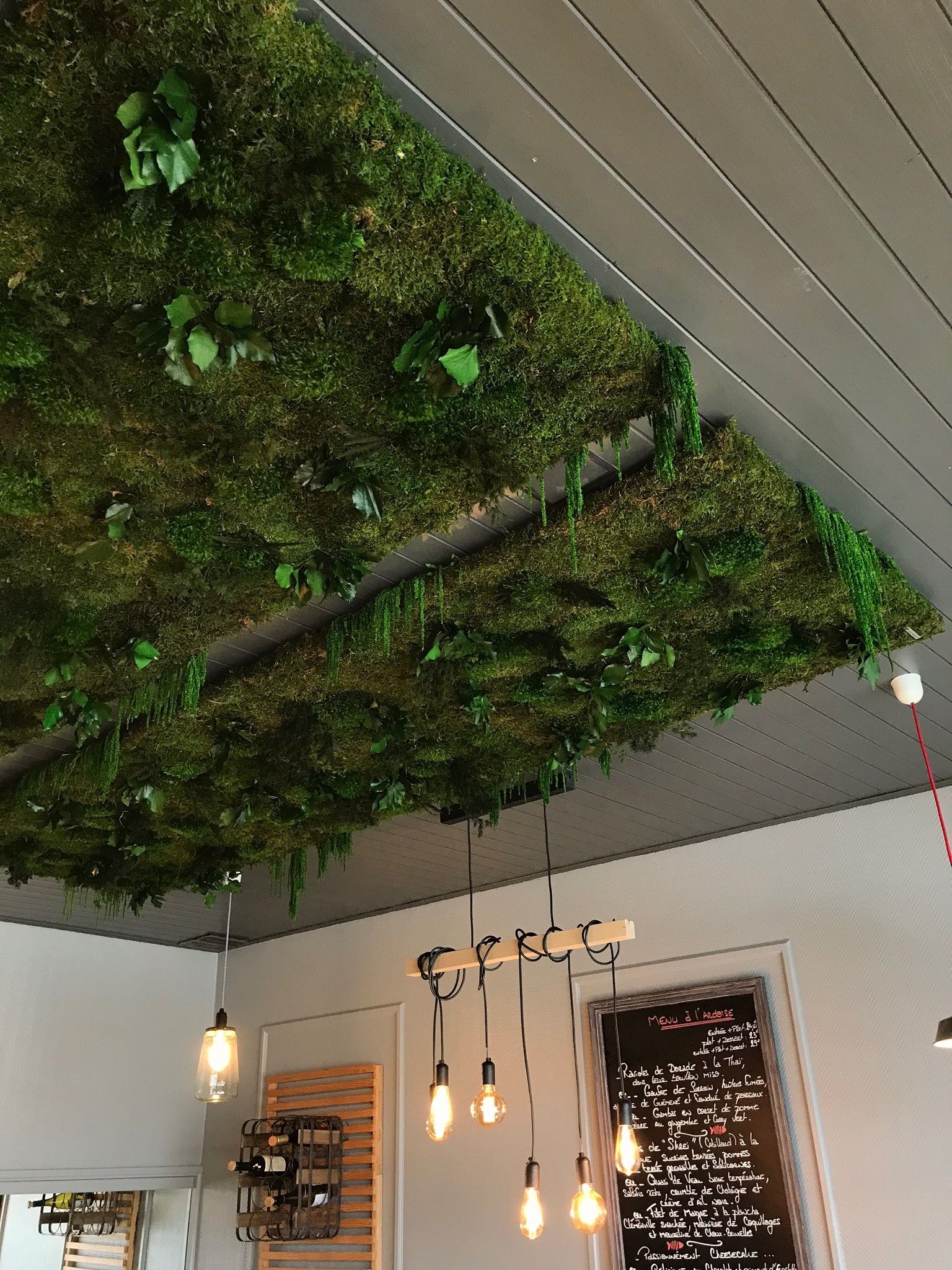 Декорирование потолков кафе искусственными растениями (59 фото)
