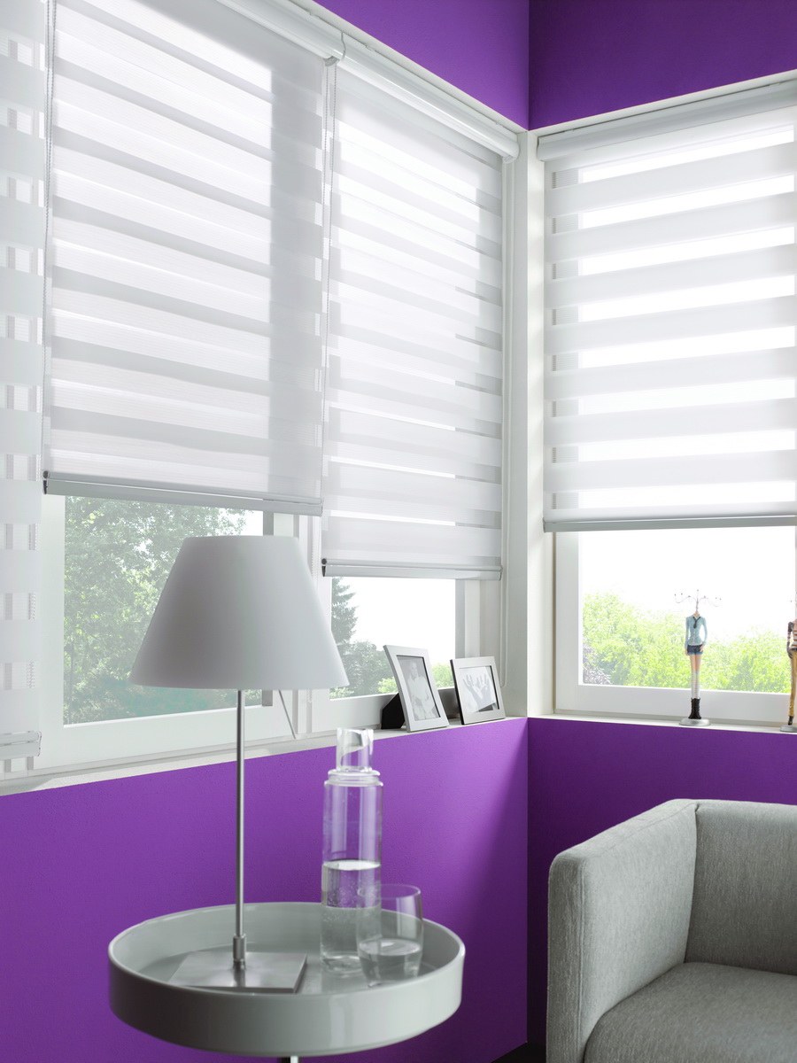 Рулонная штора Эскар Миниролло "день-ночь"