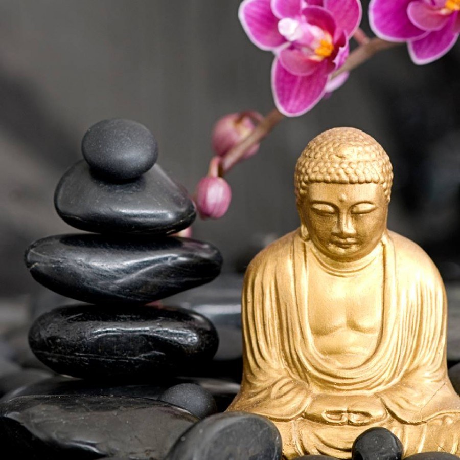 Орхидея золотой Будда