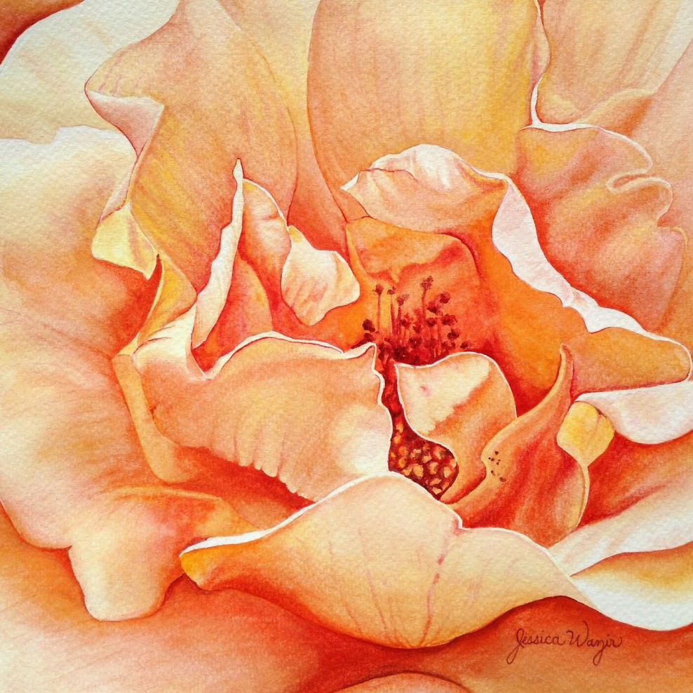 Персиковые Акварельные цветы