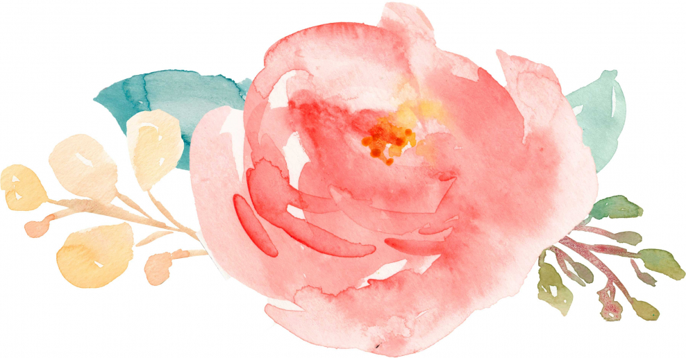 Акварельные цветы прозрачный фон акварельный