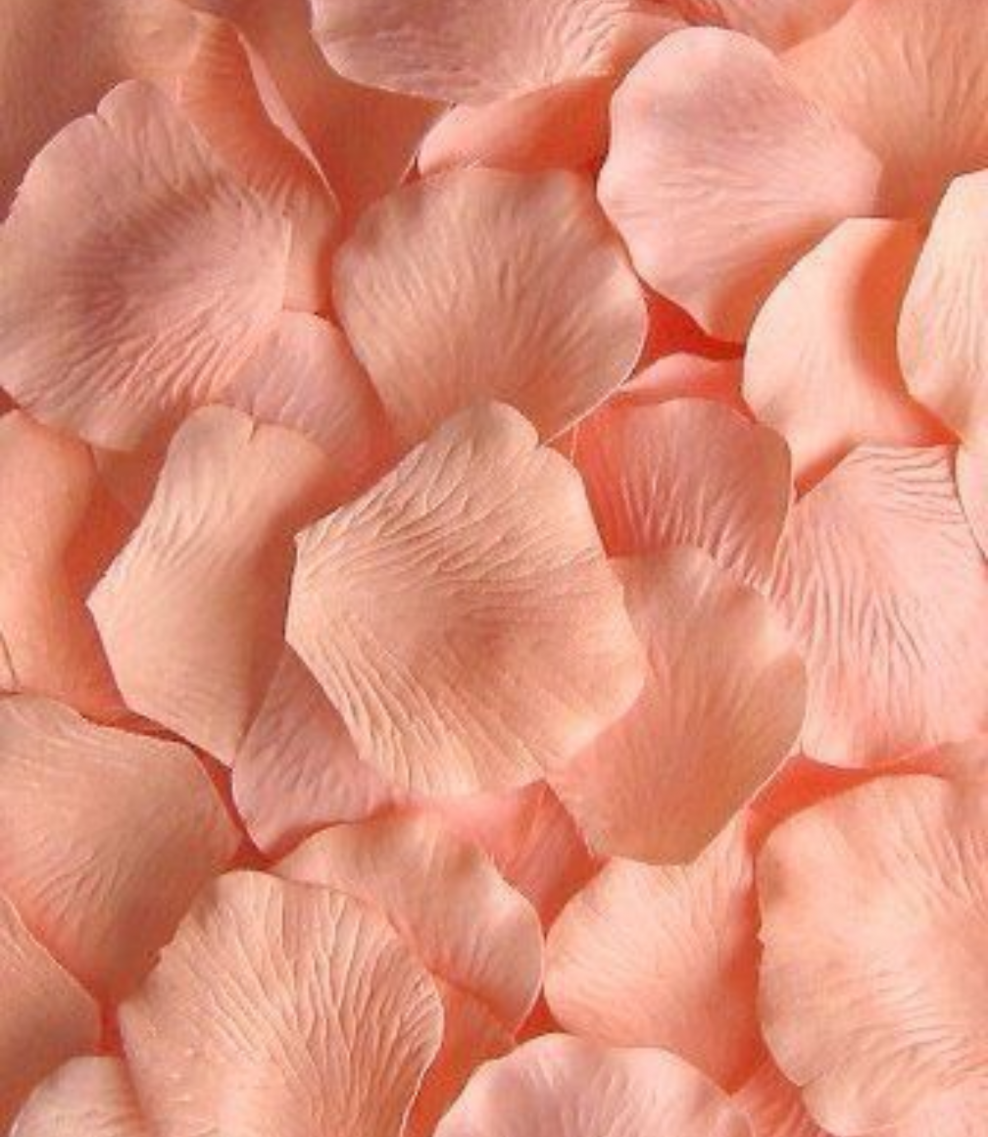 Персиковый цвет