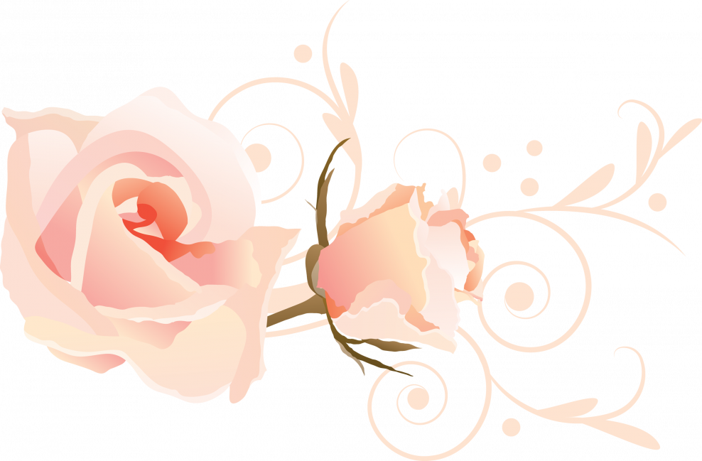 Персиковые цветы вектор