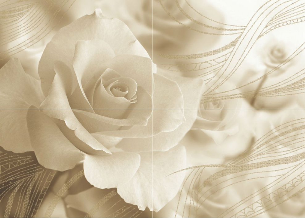 Фон в бежевых тонах