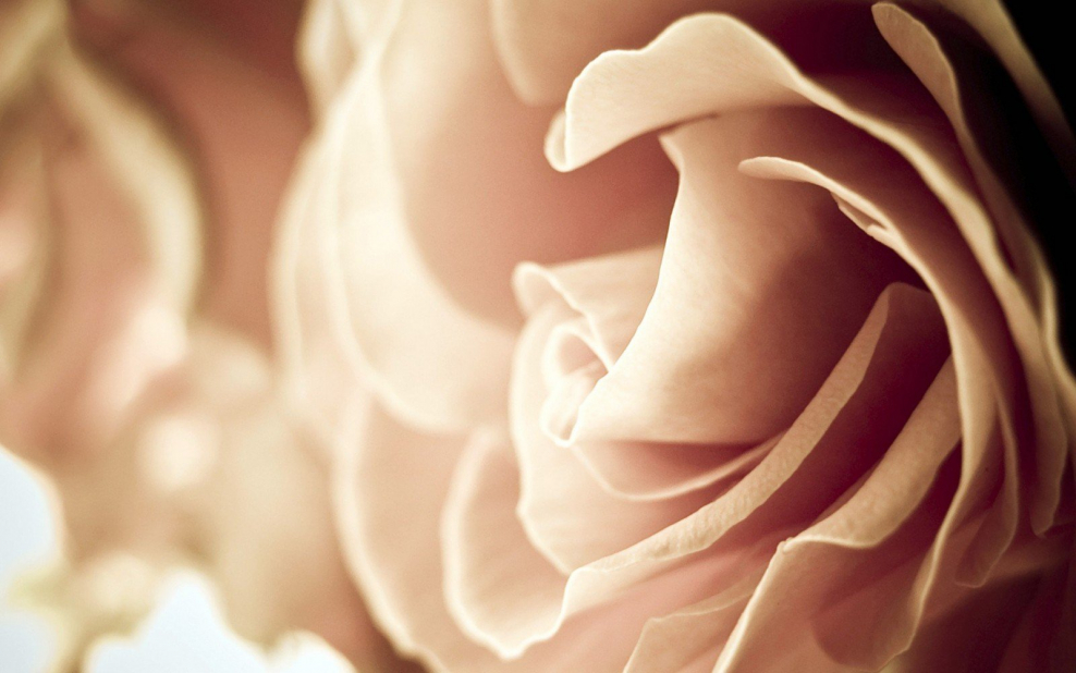 Абстракция в коричневом цвете