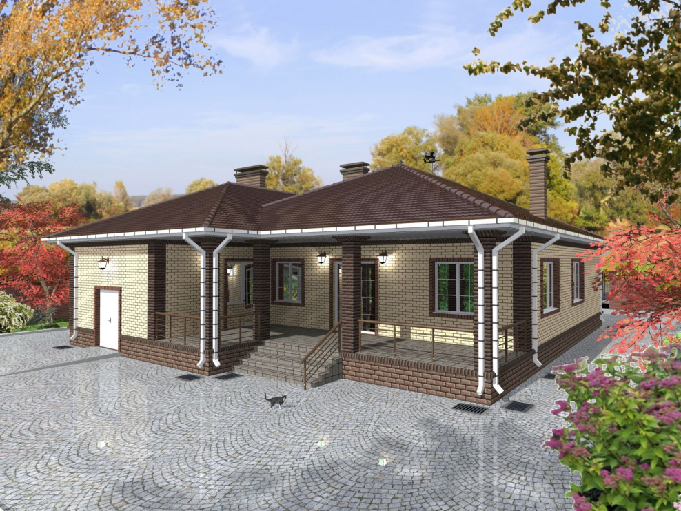 Одноэтажный дом с гаражом и террасой