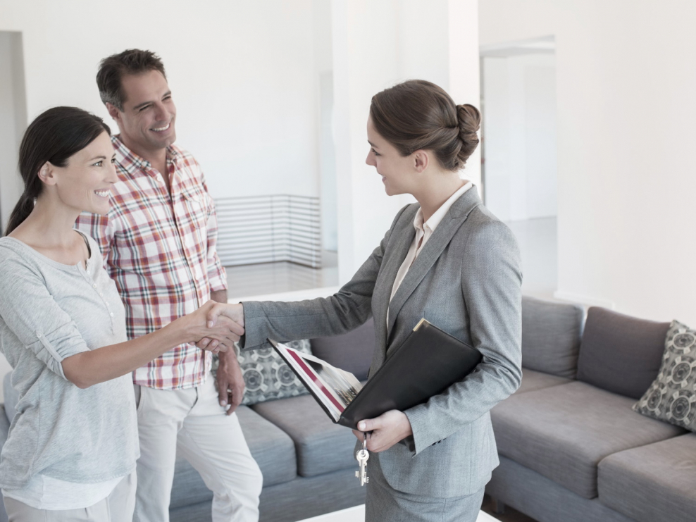 Переговоры по скайпу