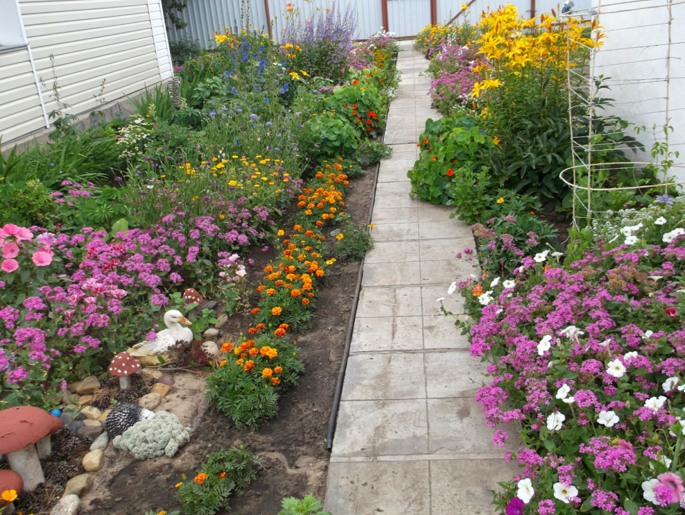 Клумбы на даче реальные