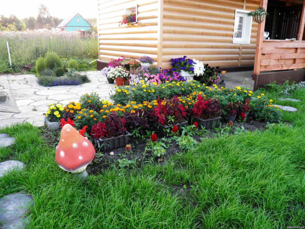 Клумбы на даче реальные