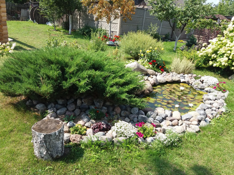 Рокарий- Альпийская лужайка