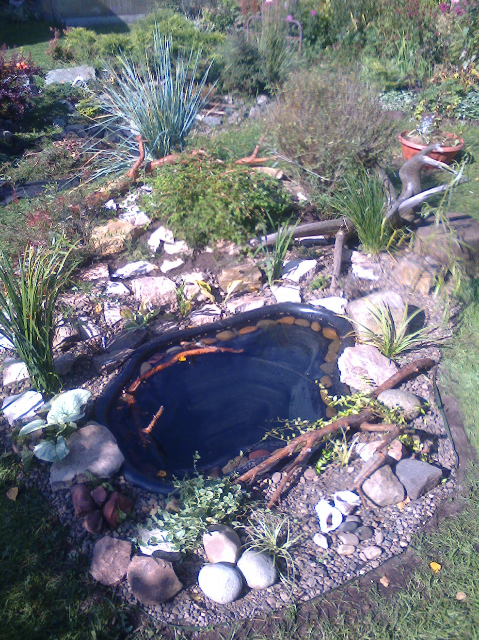 Ландшафт Альпийская горка рокария