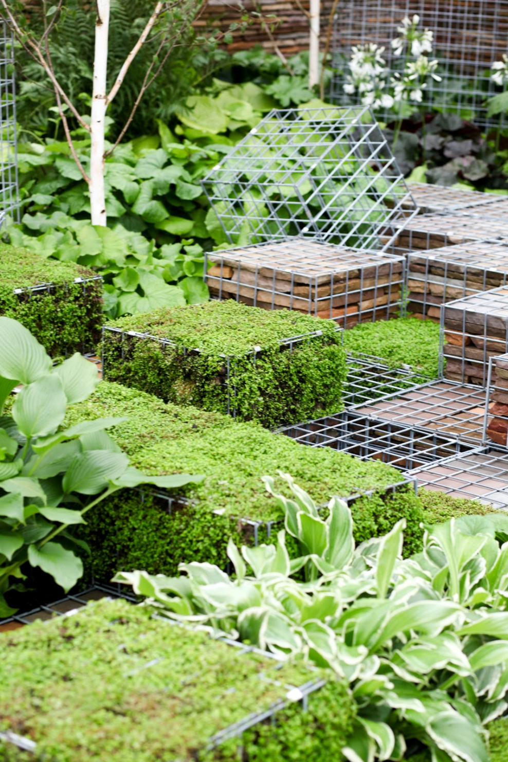 Сетка в ландшафте