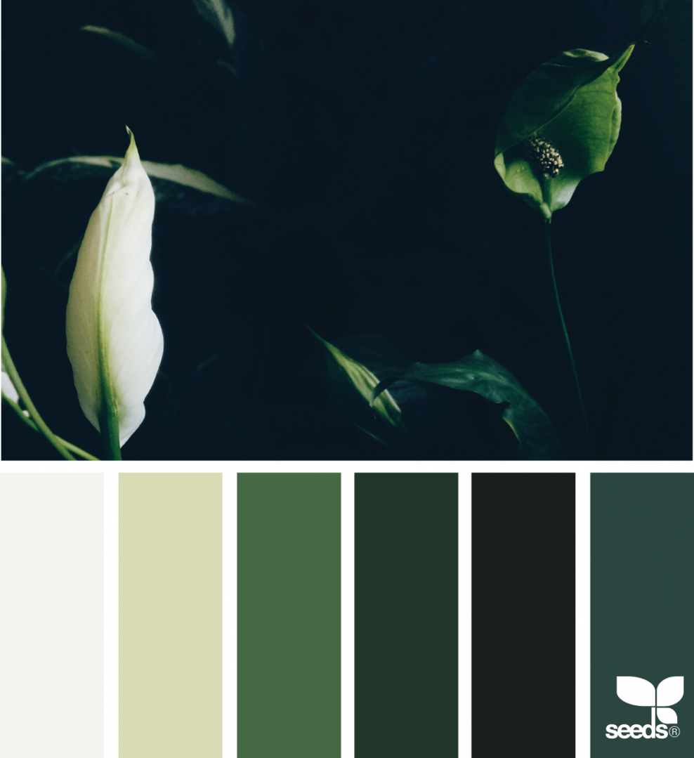 Палитра Сидс холодные зелёные