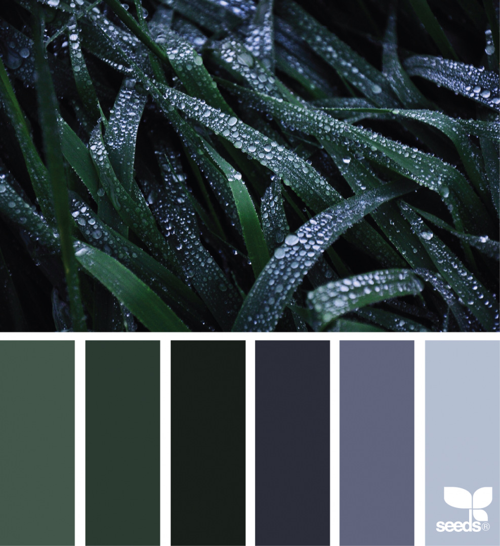 Палитра Seeds тёмные