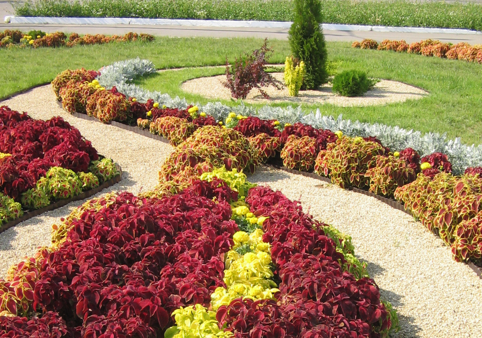 Кропоткин цветочные часы