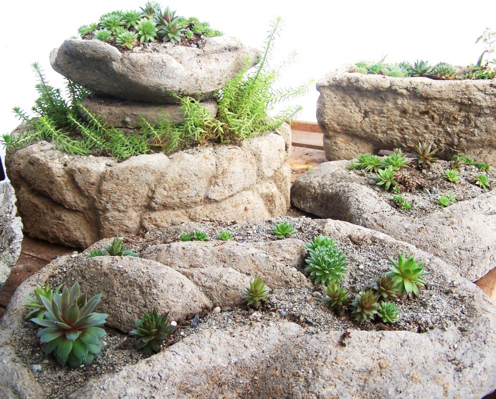 Спиралевидная Альпийская горка