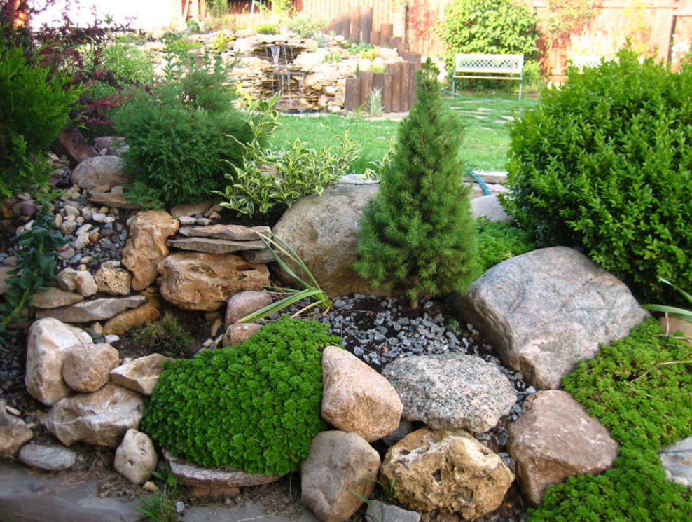 Рокарий с альпийской горкой