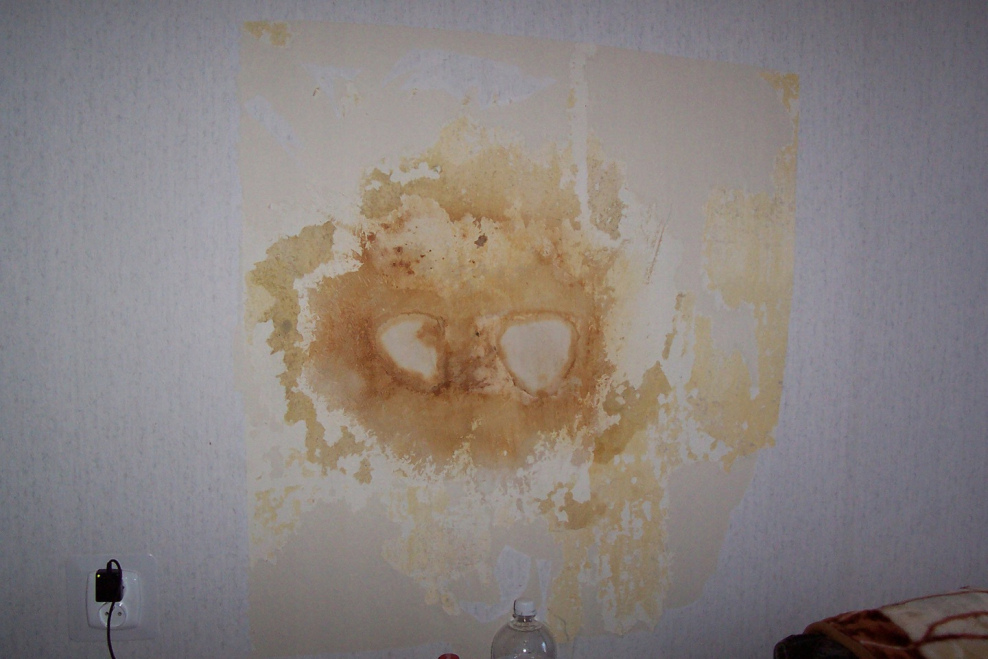 Пятно на стене