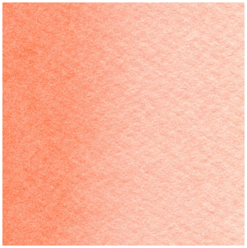 Розово персиковый цвет