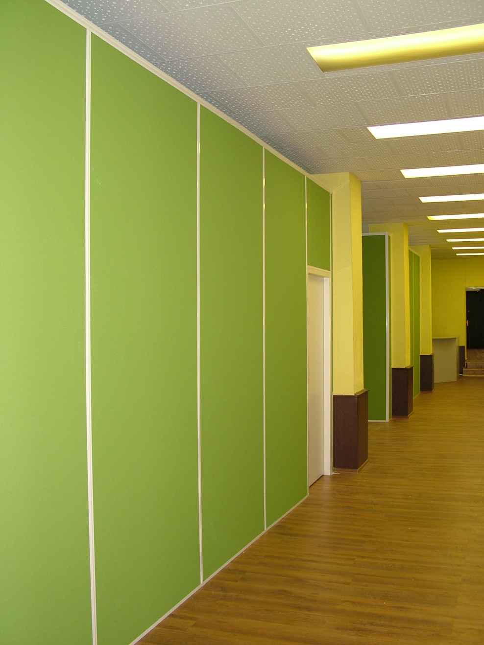 Гипсовиниловые стеновые панели