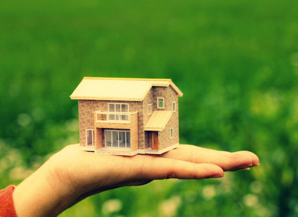 Дом в руках