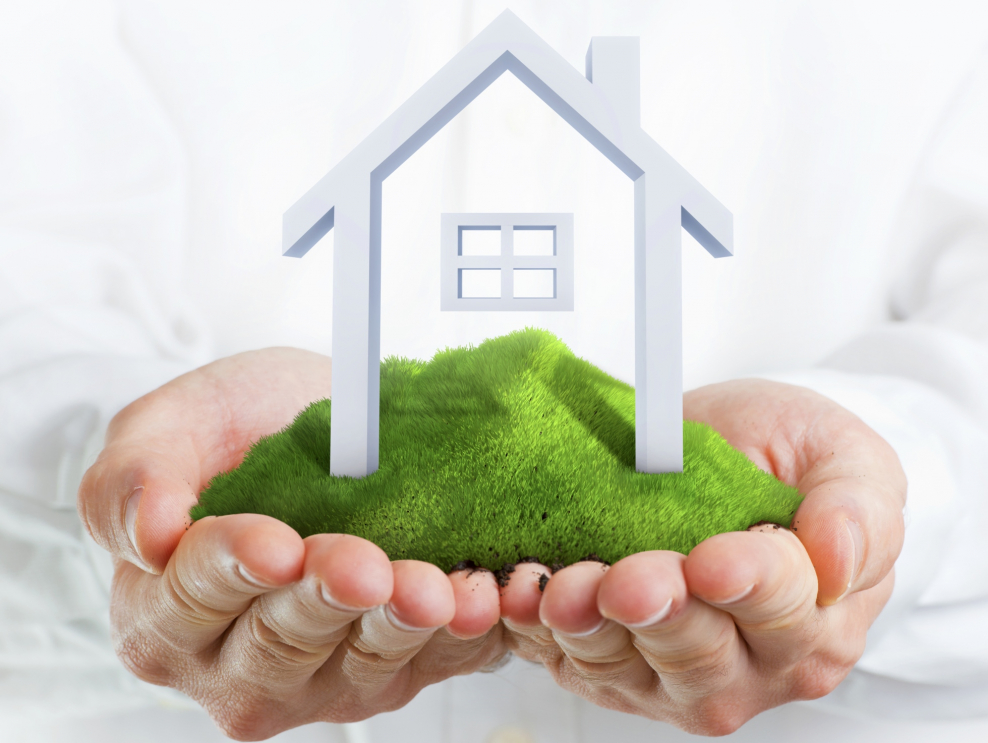 Экология жилища человека