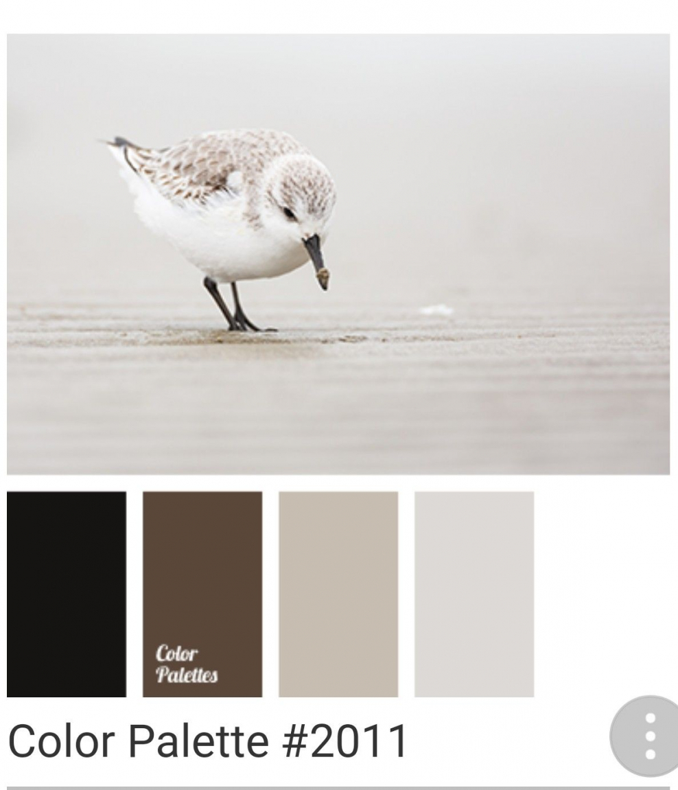 Серо бежевая палитра