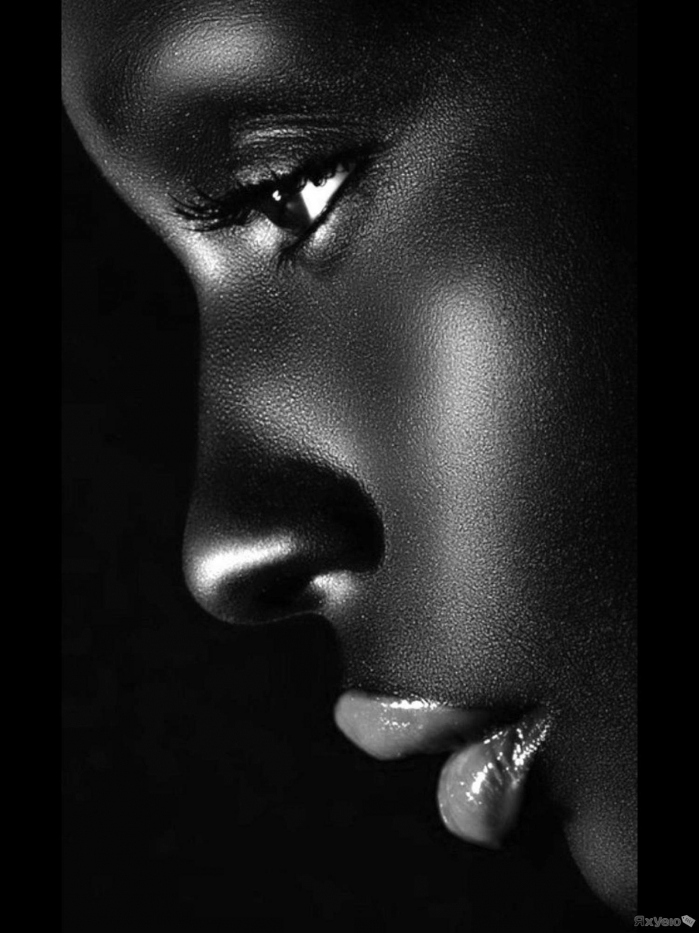 Цветовая палитра черный