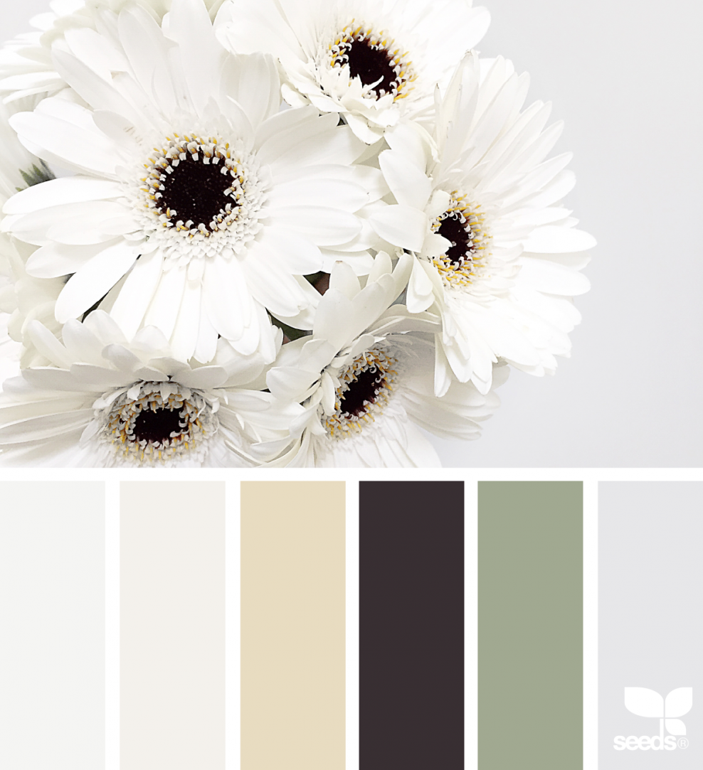 Сочетание с белым цветом